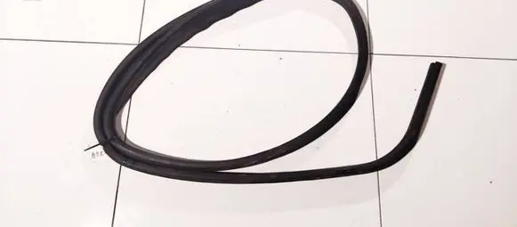 Ford Focus C-MAX Rubber seal front coupe door 