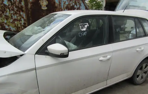 Skoda Fabia Mk3 (NJ) Front door 
