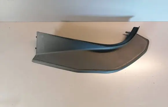 Rear/tail light trim molding