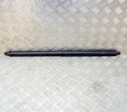 Tailgate/trunk strut/damper