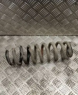 Rear coil spring