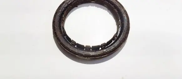 Hyundai Santa Fe Coil spring mount 