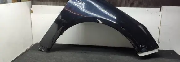 Ford Focus Fender