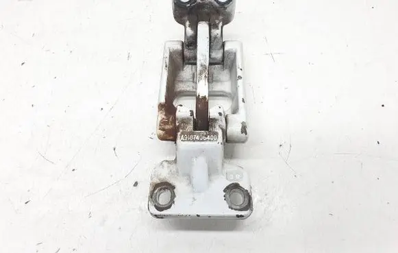 Tailgate/trunk/boot hinge