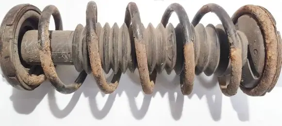 Honda Accord Rear coil spring