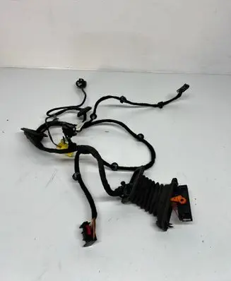 Volkswagen PASSAT B6 Front door wiring loom 3C1971121AM P0T689986