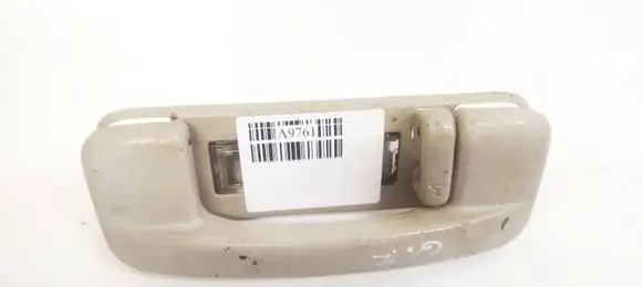 Chrysler 300 - 300C Rear interior roof grab handle 829880