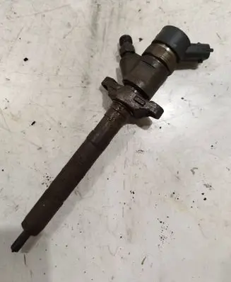 Ford Fiesta Fuel injector 0445110239