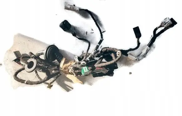 Chevrolet Camaro Front door wiring loom F0008820201