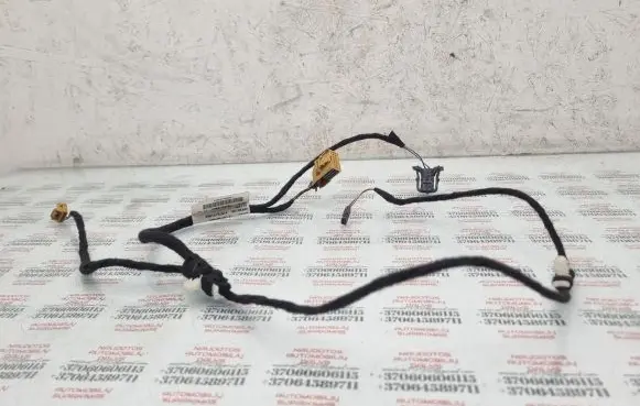 Seat Exeo (3R) Rear door wiring loom 3R0971693