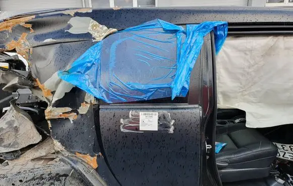 Toyota FJ cruiser Rear door
