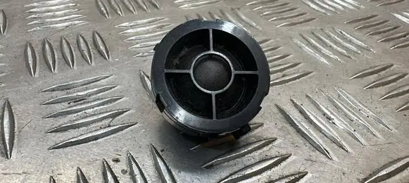 Front door high frequency speaker