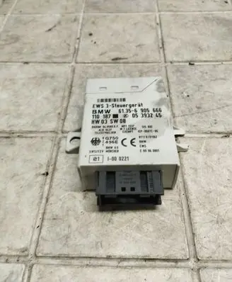 BMW 3 E46 Immobilizer control unit/module 61356905666 05393245