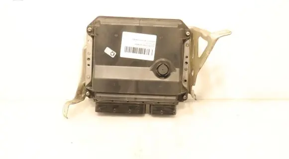 Engine control unit/module ECU