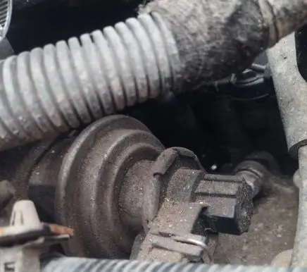 EGR valve
