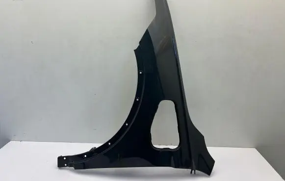 Volkswagen Tiguan Fender 5NA821105F