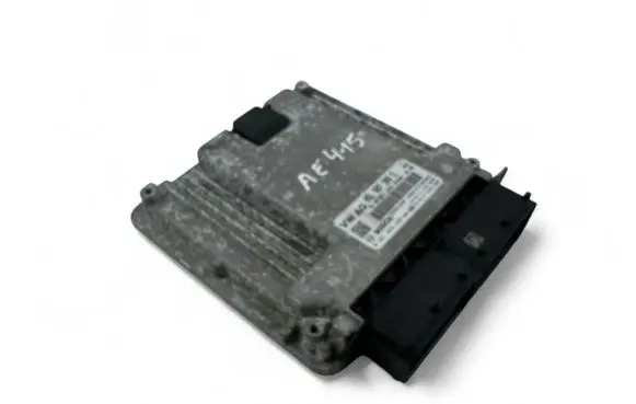 Engine control unit/module ECU