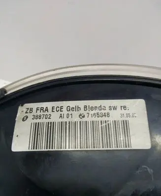 BMW 3 E46 Front indicator light 7165848 388702