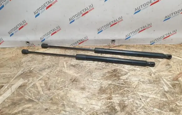 BMW X1 E84 Tailgate/trunk strut/damper 2990136 51242990136