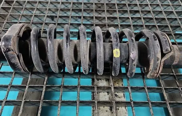 Rear coil spring