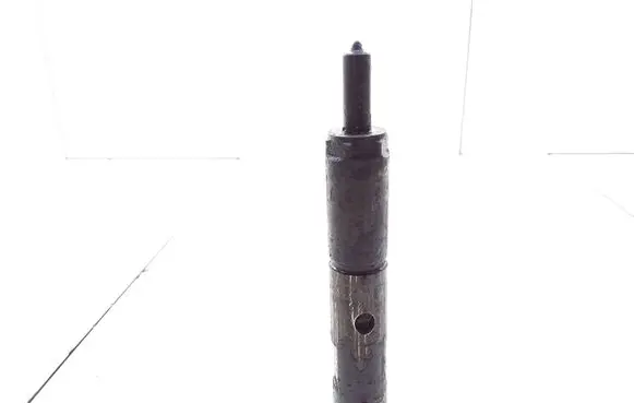 Opel Zafira A Fuel injector 24443598