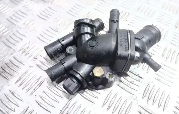 Thermostat/thermostat housing