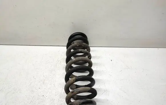 BMW X1 E84 Rear coil spring