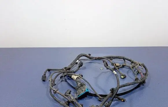 Maserati Levante Other wiring loom 06700323660