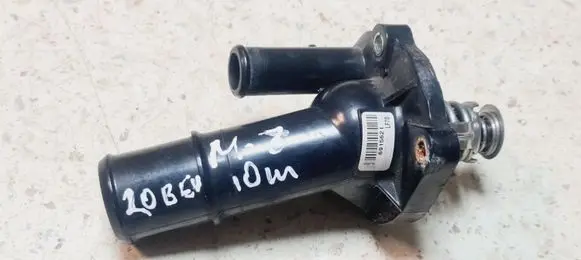 Thermostat/thermostat housing