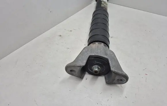 Dodge Durango Rear shock absorber/damper 283AA 894104000865