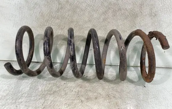 Rear coil spring