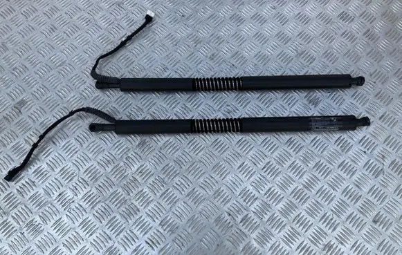 BMW 3 GT F34 Tailgate strut 7298983