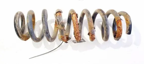 Rear coil spring