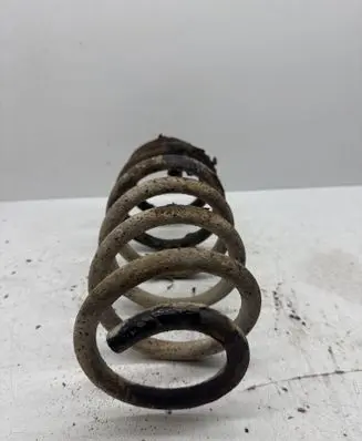 Rear coil spring