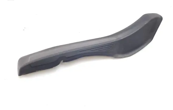 Rear/tail light trim molding
