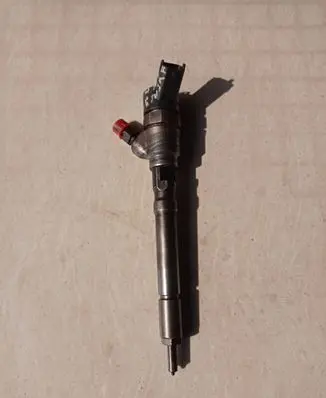 Hyundai Santa Fe Fuel injector 0445110064