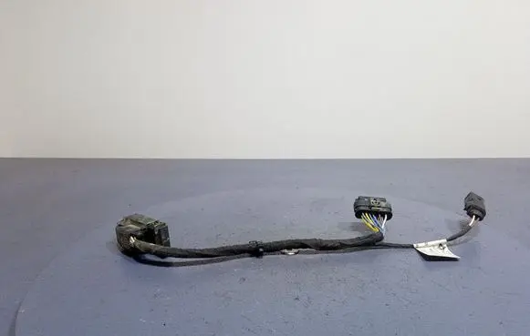 Other wiring loom