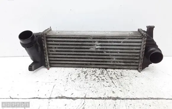 Renault Kangoo II Intercooler radiator Y5665004