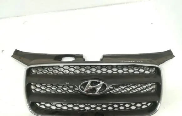 Hyundai Santa Fe Front bumper upper radiator grill E865612B010