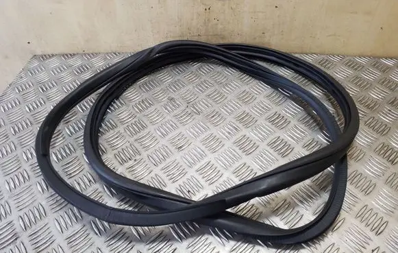 Nissan Juke I F15 Rear door rubber seal (on body) 