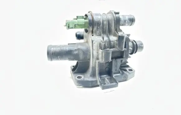 Thermostat/thermostat housing