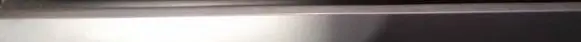 Mazda 5 Front door glass trim molding 
