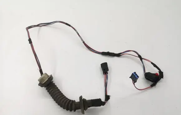 Rear door wiring loom