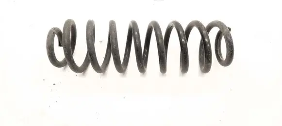 Rear coil spring