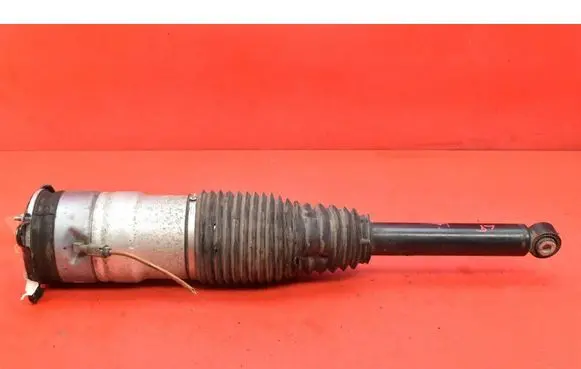 Tesla Model S Rear shock absorber/damper 600635206C