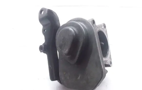 Opel Astra H Throttle valve 8973002311 B70410123