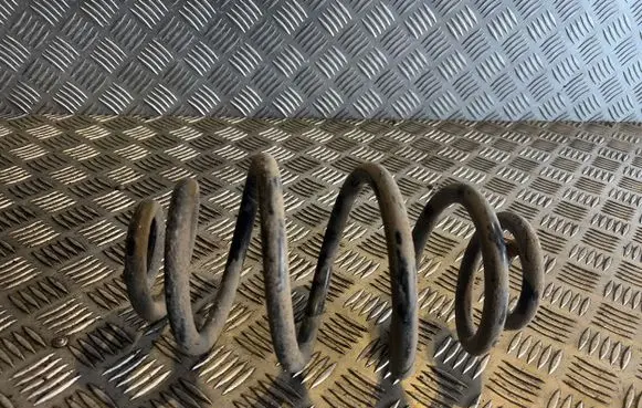 Volkswagen PASSAT B5.5 Rear coil spring