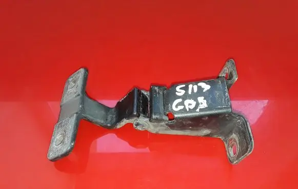 Dacia Dokker Rear door lower hinge 844009913R R9913R00001