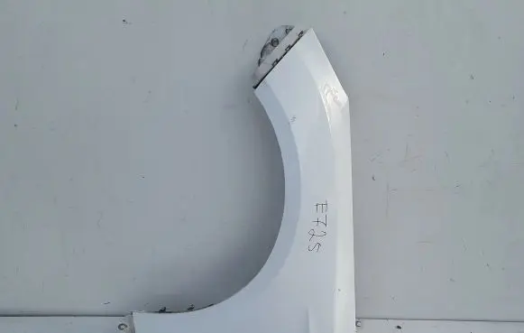 Ford Focus Fender