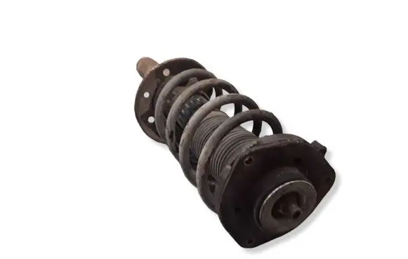 Volkswagen Golf V Front shock absorber with coil spring 